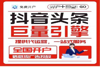 XX行业竞价广告的投放策略与效果分析